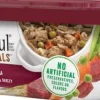 Beneful Prepared Meals Beef Stew Wet Dog Food