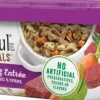 Beneful Prepared Meals Simmered Beef Wet Dog Food
