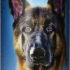 Bio-Groom Herbal Groom Conditioning Dog Shampoo - 12 Oz