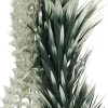 Biorb Ambulia Aquarium Decoration Plant Ornaments - Gray/Green - Medium - 2 Count