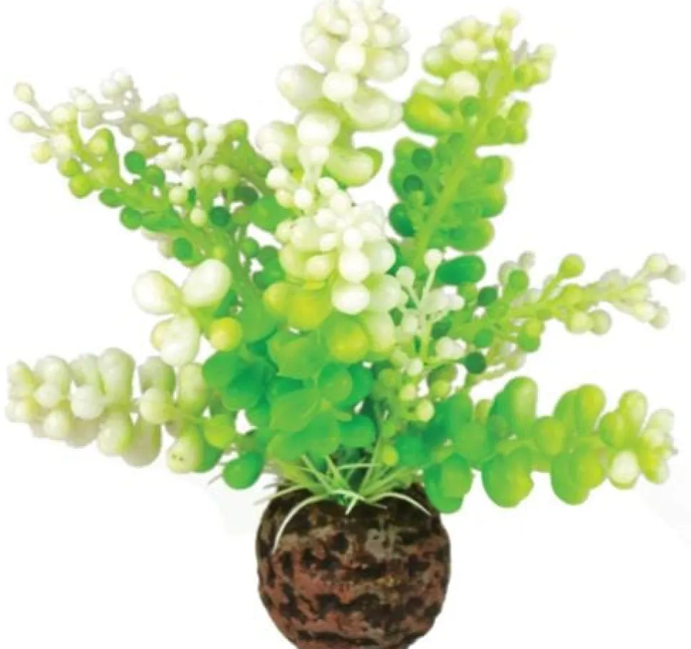 biOrb Aquatic Caulerpa Plastic Aquarium Plant - Small