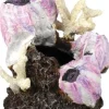 biOrb Barnacle Aquarium Ornament Aquatics Resin - Pink - Small