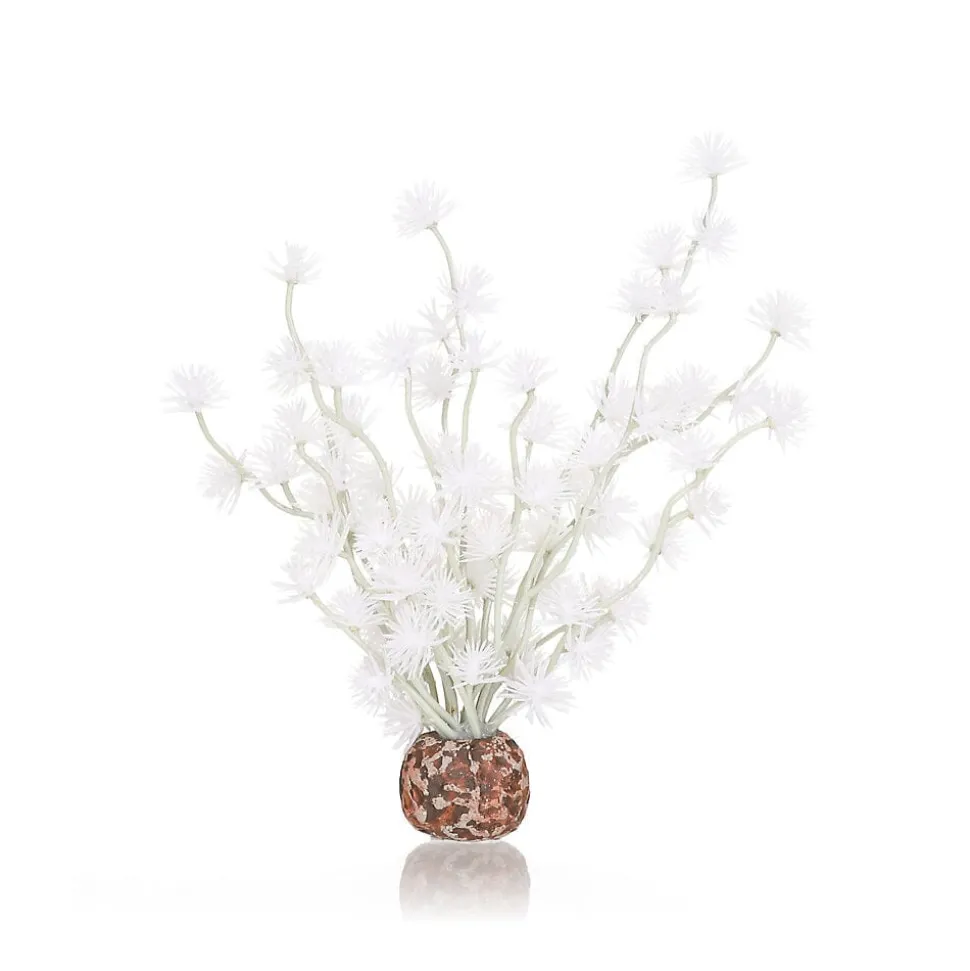 Biorb Bonsai Ball Aquarium Plant Ornament - White - Small