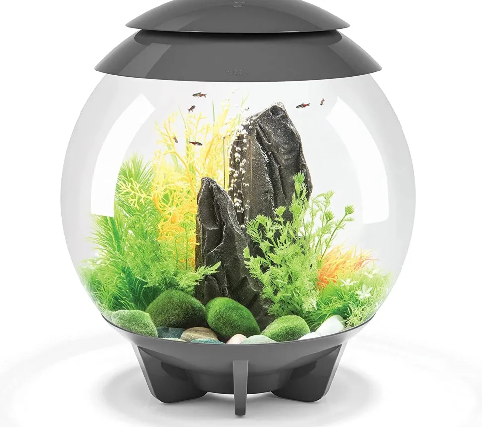 biOrb Halo 30 MCR Aquarium Aquatics Starter Kits - Gray - 8 Gal