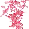 Biorb Kelp Plant Aquarium Ornament - Pink - Medium