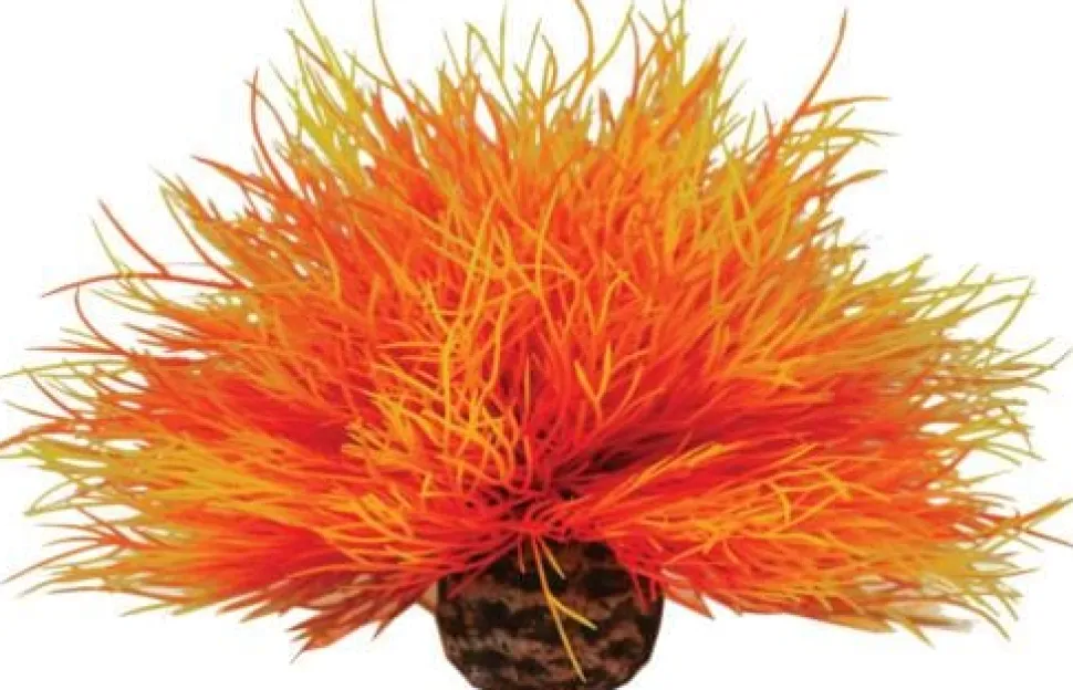 Biorb Sea Lily Aquarium Plant Ornament - Orange - Small
