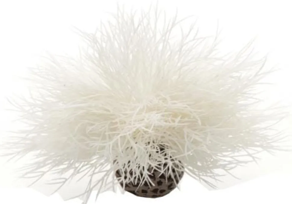 Biorb Sea Lily Aquarium Plant Ornament - White - Small