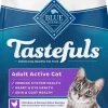 Blue Buffalo Chicken and Brown Rice Adult Dry Cat Food - 3 Lbs
