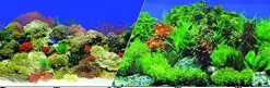 Blue Ribbon Double-Sided Garden/Carribbean Coral Aquarium Background - 24 In X 50 Ft