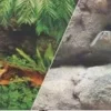 Blue Ribbon Double-Sided Rainforest/Boulder Aquarium Background - 12 In X 50 Ft