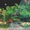 Blue Ribbon Double-Sided Tropical/Freshwater Aquarium Background - 12 In X 50 Ft
