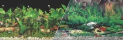 Blue Ribbon Double-Sided Tropical/Freshwater Aquarium Background - 12 In X 50 Ft
