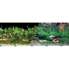 Blue Ribbon Double-Sided Tropical/Freshwater Aquarium Background - 24 In X 50 Ft