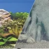 Blue Ribbon Double-Sided Tree Trunk/Freshwater Aquarium Background - 19 In X 50 Ft