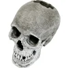 Blue Ribbon Exotic Environments Lifelike Human Skull Tank Accessory