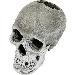 Blue Ribbon Exotic Environments Lifelike Human Skull Tank Accessory