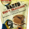 Caitec Baked Tropi-Fruit Medley Munchies Bird Treats - 4 oz - Case of 12