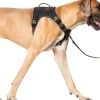 Canada Pooch Core Complete Control Dog Harness and Leash - Black