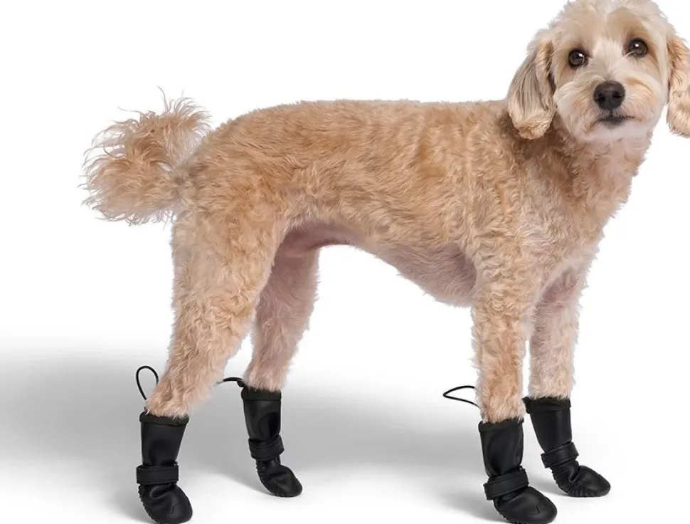 Canada Pooch Soft Shield Dog Boots