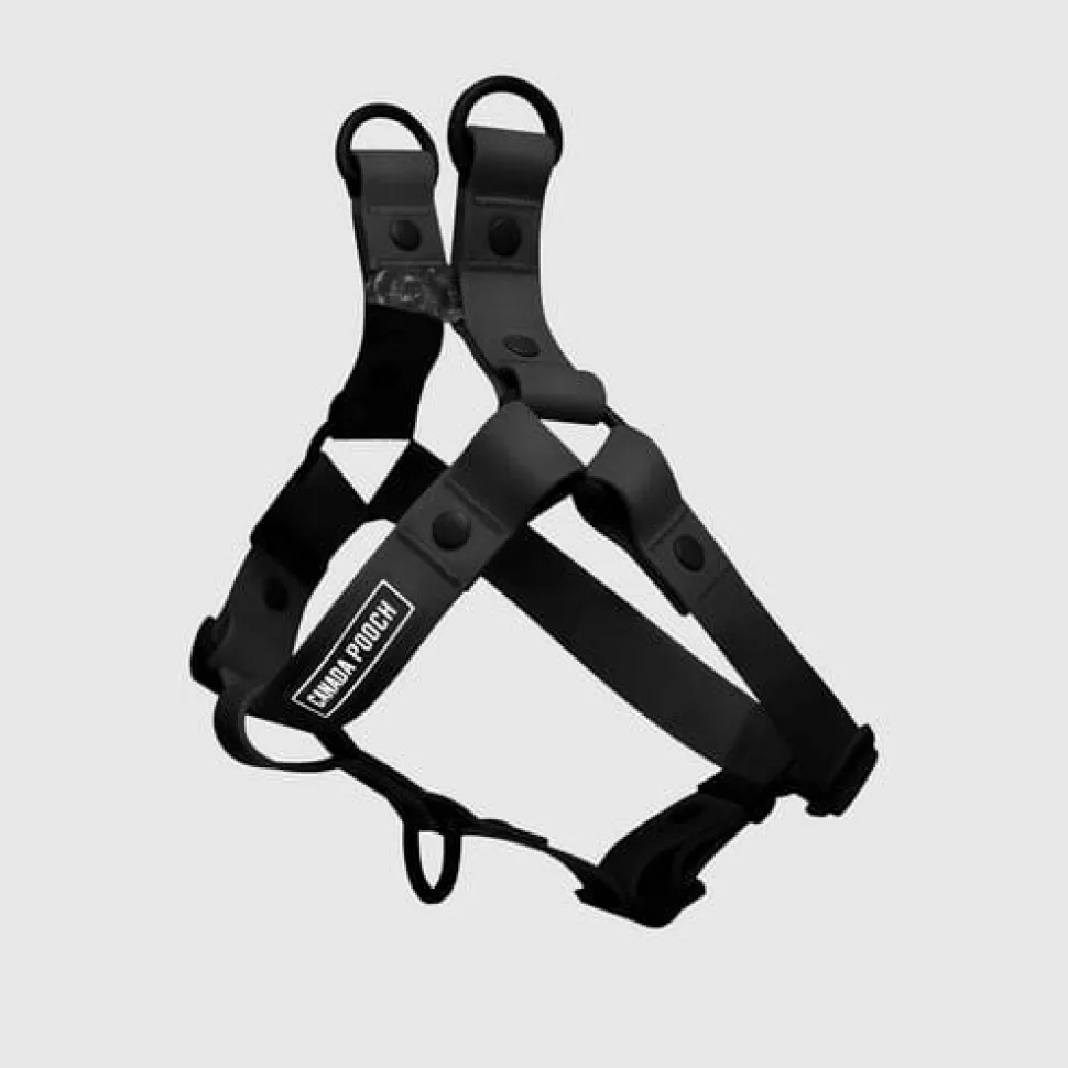 Canada Pooch Waterproof Dog Harness - Black