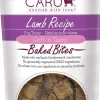Caru Natural Lamb Recipe Bites Soft and Chewy Dog Treats - 4 oz