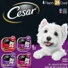 Cesar Canine Cuisine Classic Multi-Pack Wet Dog Food - 3.5 oz - Case of 24