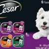 Cesar Canine Cuisine Classics Multi-Pack Wet Dog Food - 3.5 oz - Case of 36