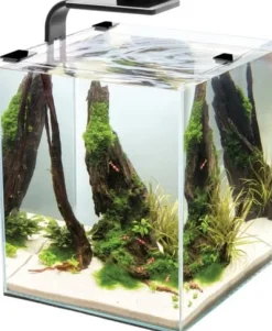 Cobalt Aquatics Microvue3 10 Glass Aquarium Kit - 2.6 Gal