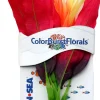 Colorburst Florals Amazon Sword Silk Style Plastic Aquarium Plant - Red - Small