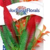 Colorburst Florals Crispus Silk Style Plastic Aquarium Plant - Red - Medium
