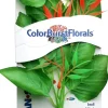 Colorburst Florals Marshwood Silk Style Plastic Aquarium Plant - Green - Small