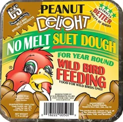 C&S Delight No Melt Suet Dough Wild Bird Food - Peanut - 11.75 Oz