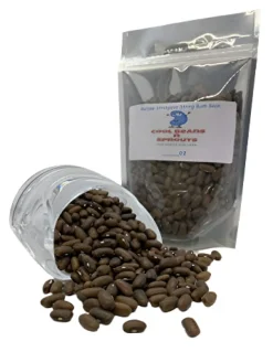 C&S Seed Treat Pictorial Label Suet Cakes Wild Bird Food - 11 Oz - 12 Pack