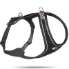 Curli Belka Magnet Dog Harness - Black - Medium