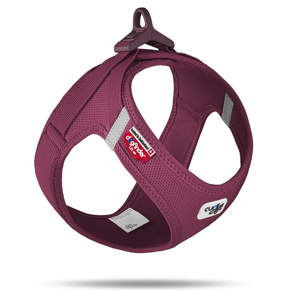 Curli Clasp Mesh Vest Dog Harness - Ruby - Extra Small