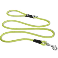 Curli Stretch Comfort Dog Leash - Lime - Medium