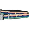 Cycle Dog Regular Earth-Friendly Dog Collar - Eagle - Medium