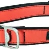 Cycle Dog Regular Earth-Friendly Dog Collar - Orange - Medium