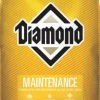 Diamond Maintenance Adult Dry Dog Food - 20 Lbs