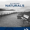 Diamond Naturals Small & Medium Breed Puppy Dry Food