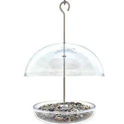 Droll Yankees Cutest Chickadee with Adjustable Dome Wild Bird Feeder - Clear - .5 Lbs Cap