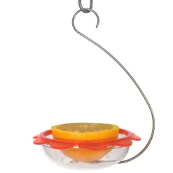 Droll Yankees Marmalade Hanging Oriole Feeder - Orange - 5 In