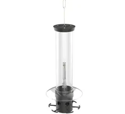 Droll Yankees Squirrel Proof Tubed Wild Bird Feeder - Gray - 4.25 Lbs Cap