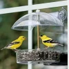 Droll Yankees Winner Window Seed Wild Bird Feeder - Clear - .5 Lbs Cap