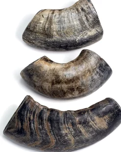 Durkha Water Buffalo Horn Small Natural Dog Chew