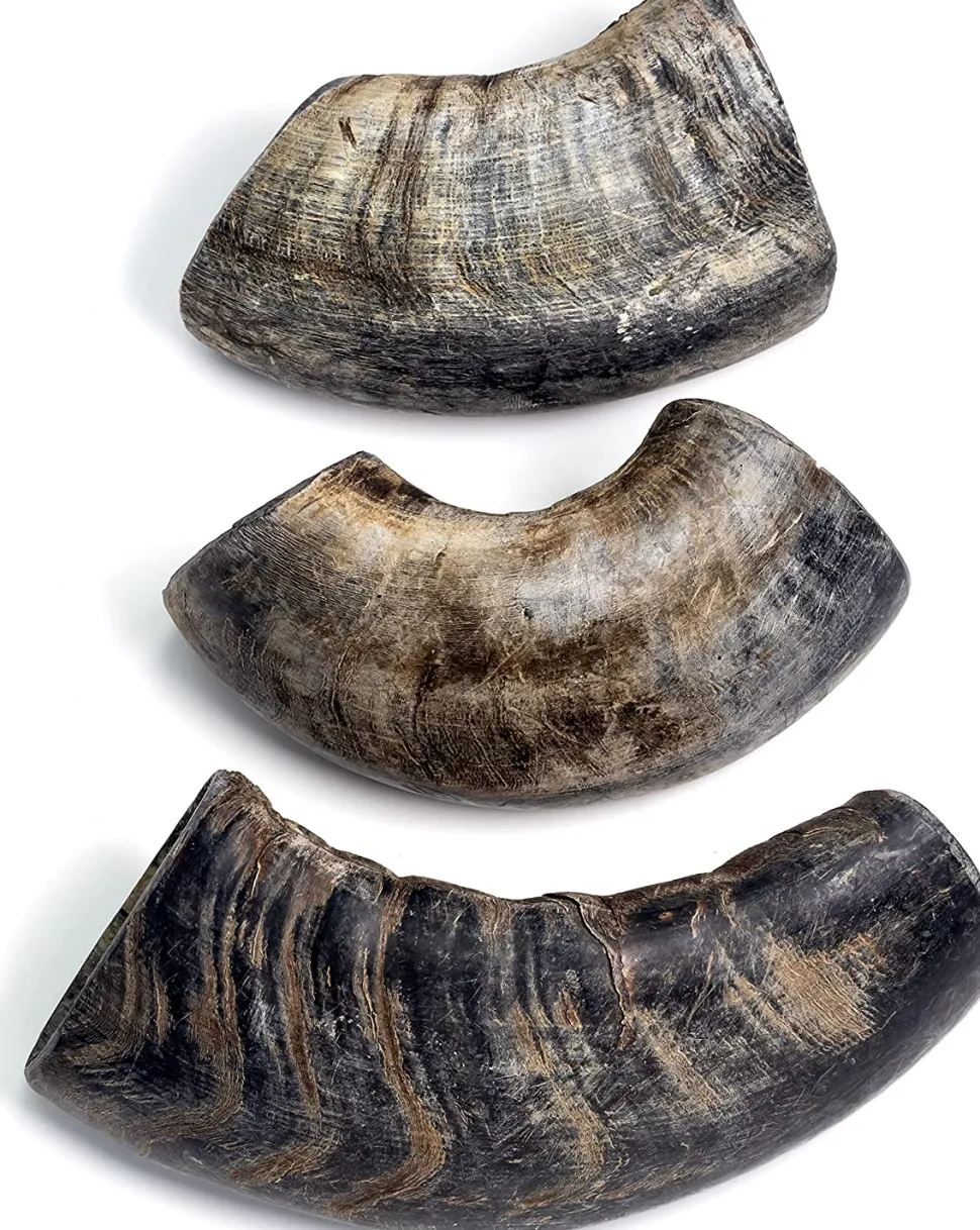 Durkha Water Buffalo Horn Small Natural Dog Chew