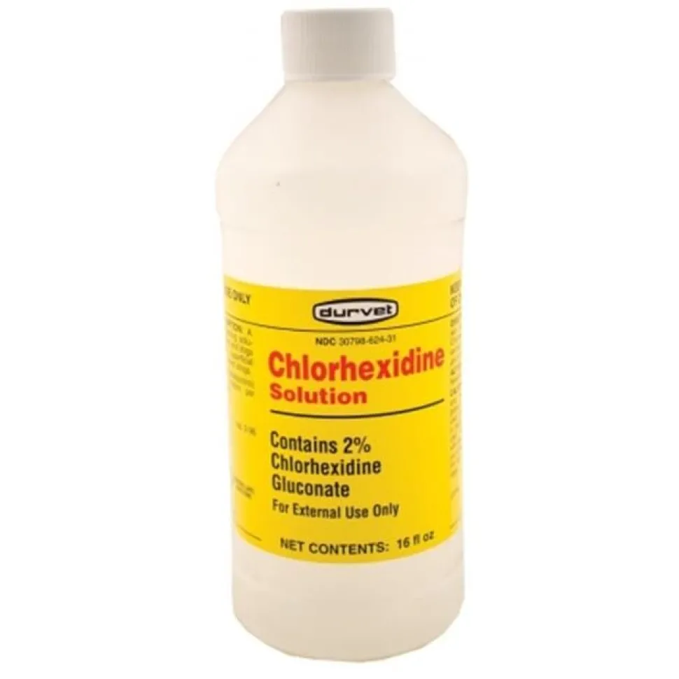 Durvet Chlorhexidine Gluconate 2% Solution Veterinary Supplies Clean Sanitize & Misc - 16 Oz