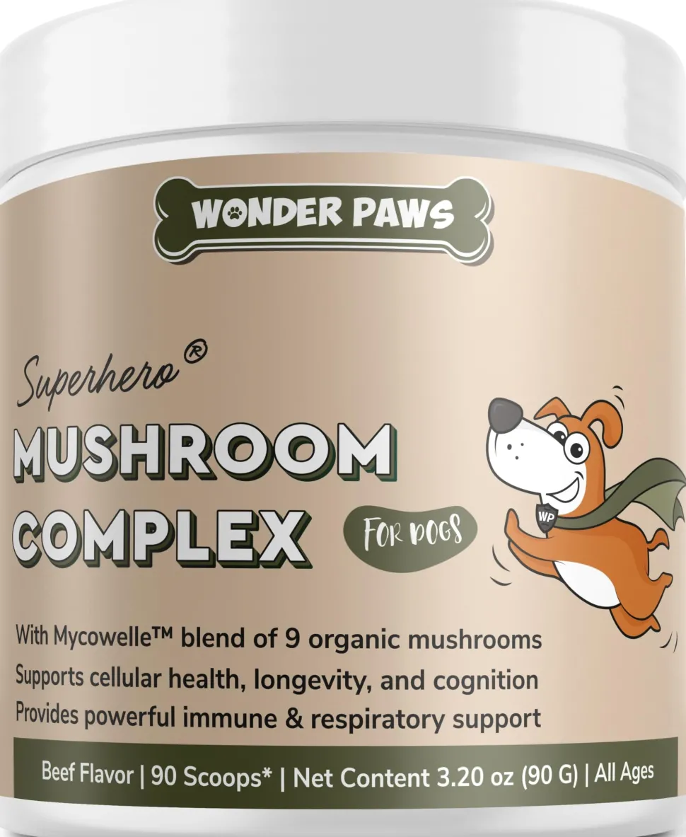 Earth Buddy Allergy and Immune Support Mushroom Powder Cat and Dog Supplements - 2.6 Oz