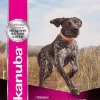 Eukanuba Premium Performance 30/20 Dry Dog Food - 4.5 Lbs