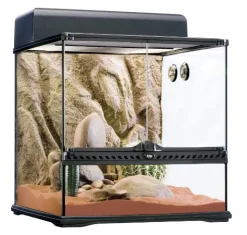 Exo Terra Desert Terrarium Habitat Starter Kit - Medium